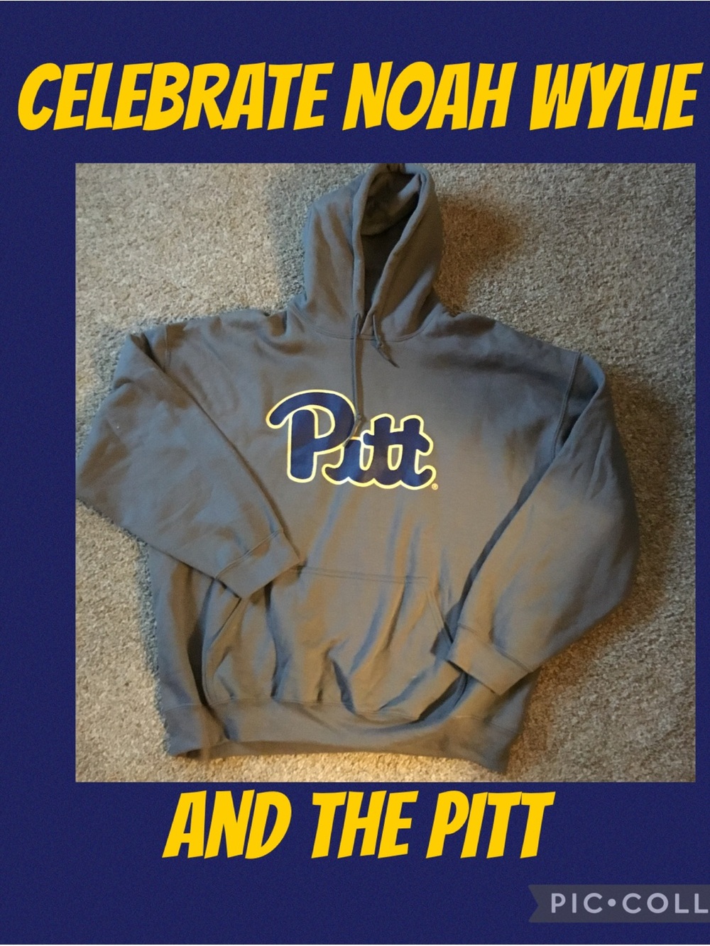 Gildan Pitt Hoodie Sweatshirt Gray XXL